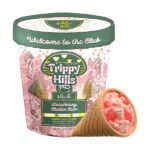 Hidden Hills Trippy Mushie Conez | 2 Count